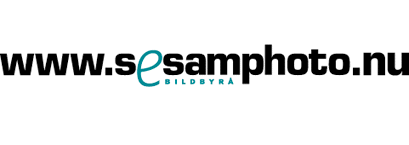 SESAM BILD.gif (4883 bytes)